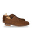 Zapato Casual Derby Austin Reed ZA00101 - Marron - Packshot fondo blanco 3/4