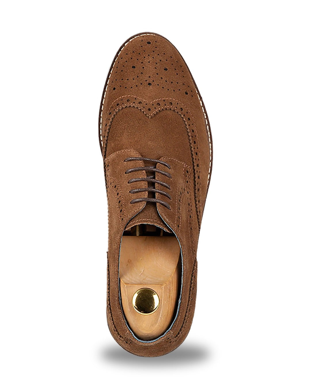 Zapato Casual Derby Austin Reed ZA00101 - Marron - Packshot fondo blanco vista 2